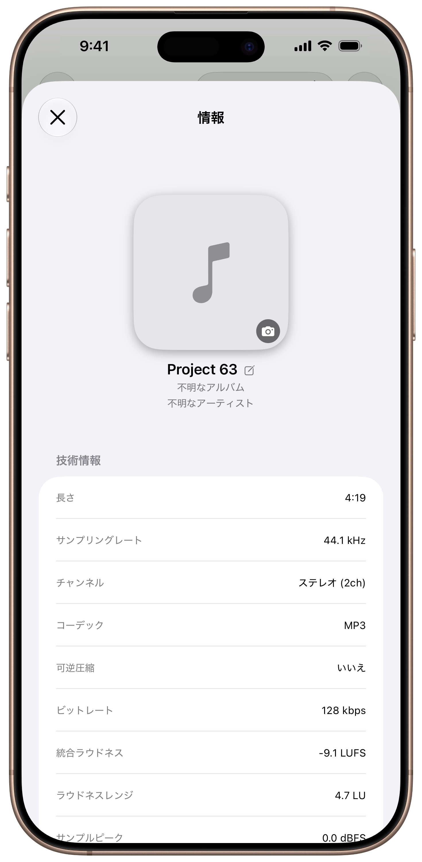 曲の技術情報とラウドネス計測の画面
